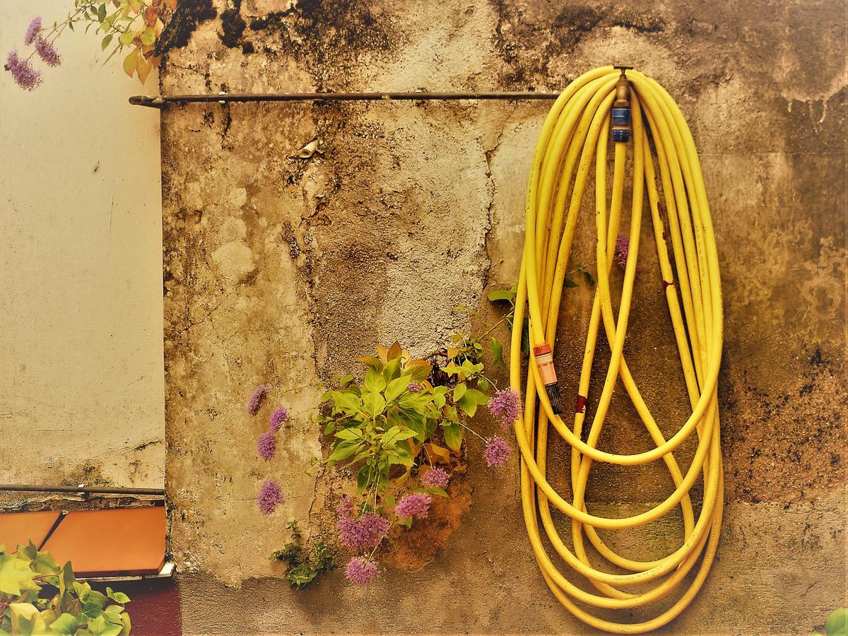 Pension Casa Douro ซานติอาโก เด กอมโปสเตลา ภายนอก รูปภาพ